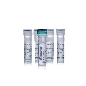 Accuris Taq Master Mix, 2X conc., 1000 reactions