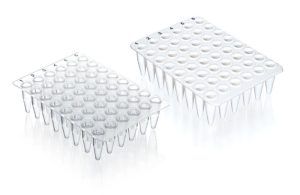 48 well qPCR plate, white no skirt,20 plates