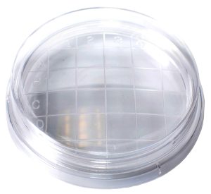 65 x 15 Contact Dish, Convex Bottom, Stackable