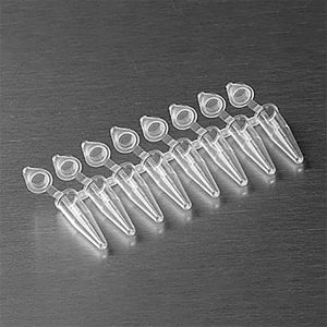 Axygen 0.2mL Polypropylene PCR Tube Strips with Attached Flat Caps, 8 Tube Strips and Caps, Clear Nonsterile,