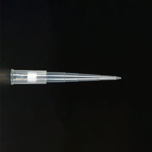 Axygen 200uL Universal Fit Filter Tips, Clear, Bulk Pack, 1000 Tips/Pack, 10 Packs/Case.