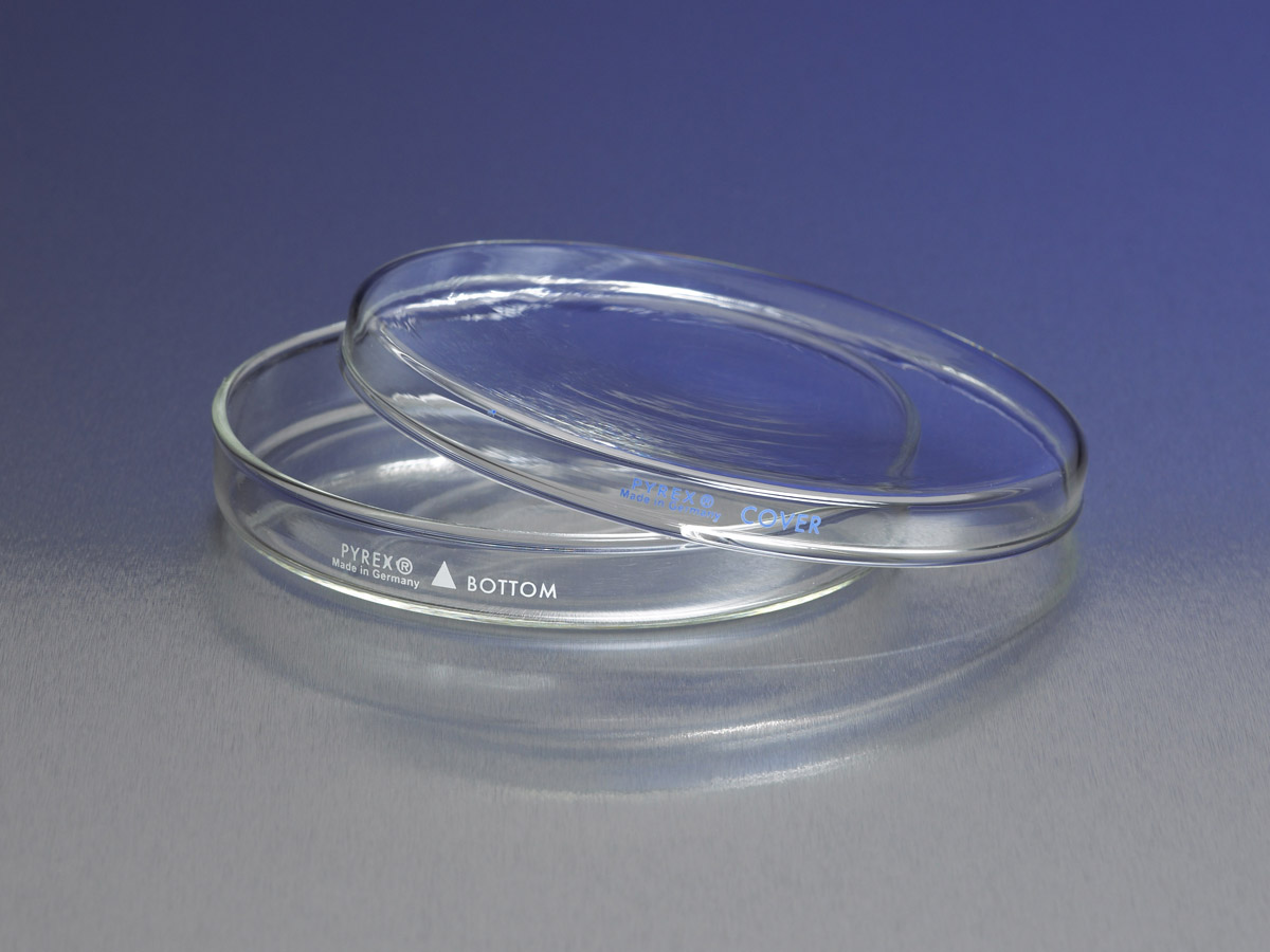 PYREX 60x15mm Petri Dish Cover Only