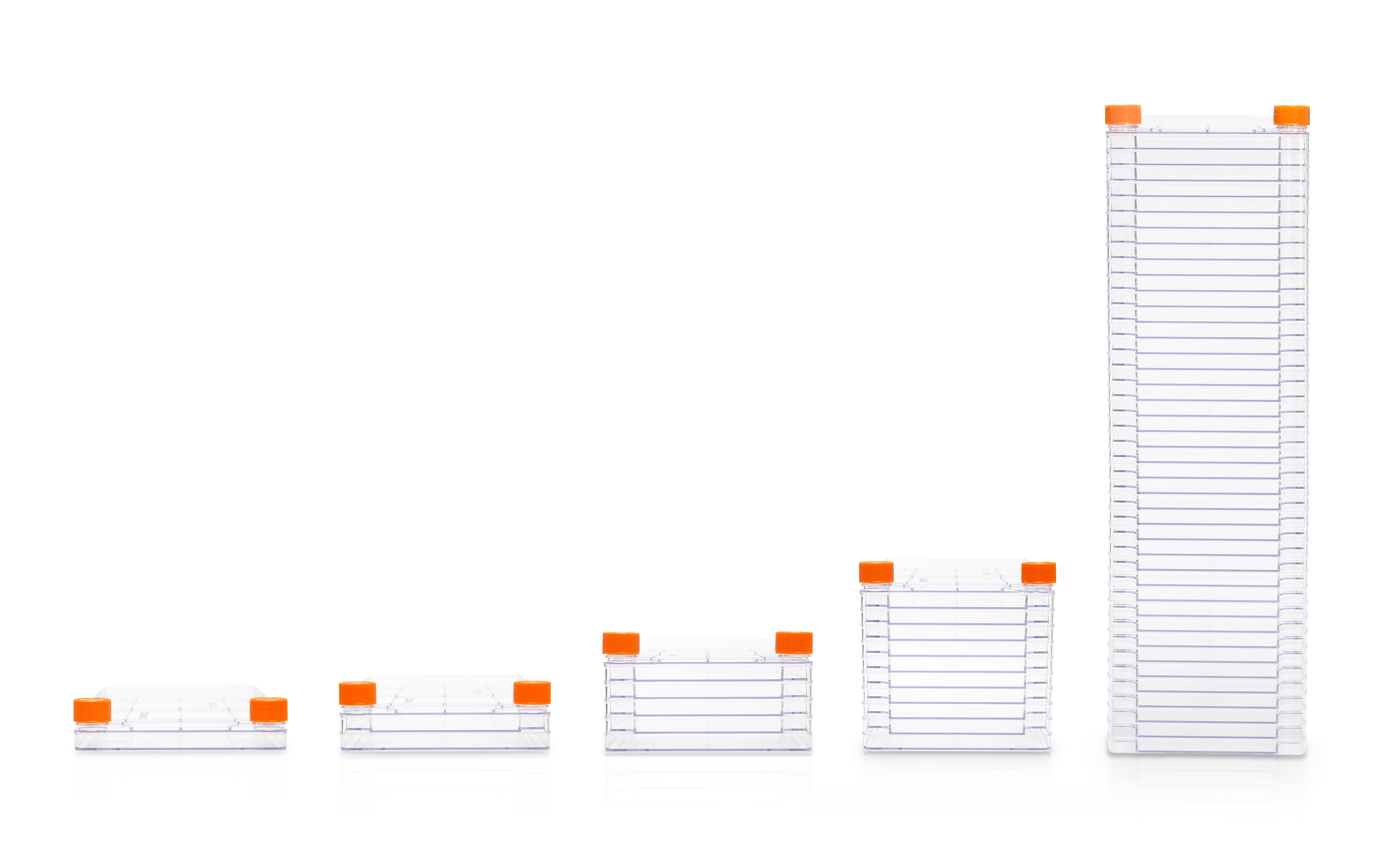 Corning CellSTACK, 1-layer Polystyrene vessel with Vent Caps, CellBIND treated Growth Surface, Sterile, 1 per bag, 8 per case