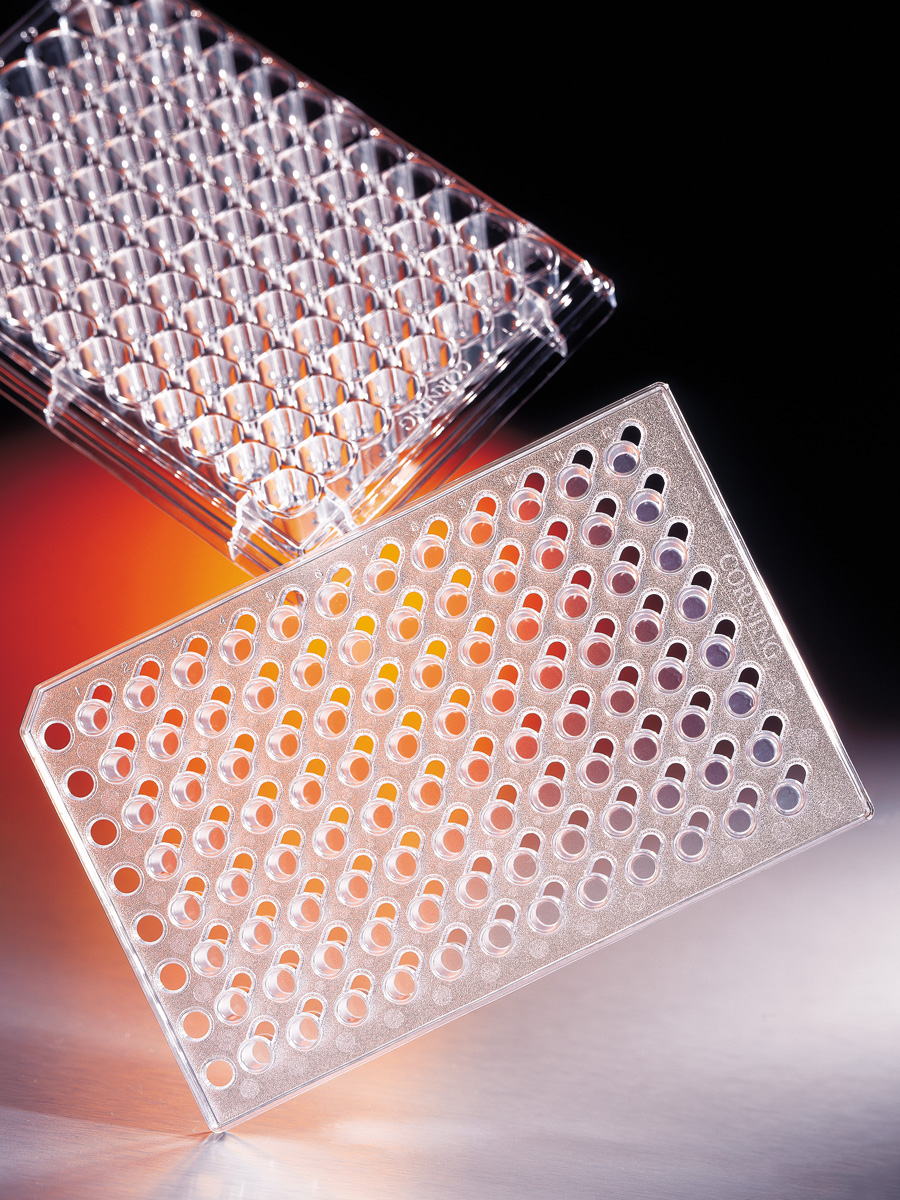 Corning HTS Transwell-96 Permeable Support with 8.0µm Pore Polyester (PET) Membrane, Sterile, 4/Pack, 8/Case