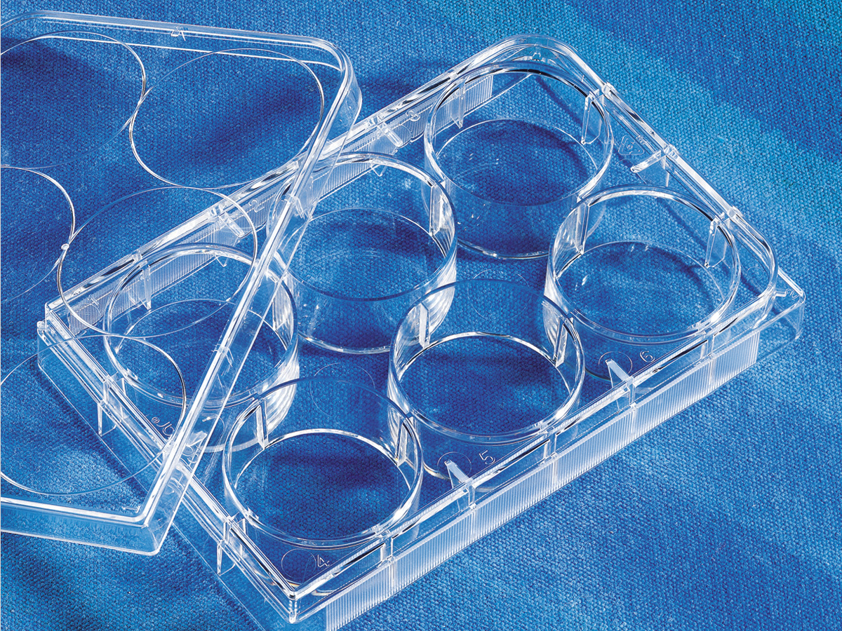 Corning® CellBIND® 6 Well Clear Multiple Well Plates, Flat Bottom, with Lid, Sterile